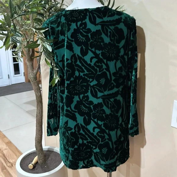 Silk Lore Green Velvet Top - Picture 3 of 4
